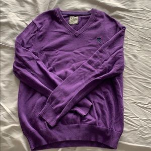 Express Purple V-Neck Sweater
